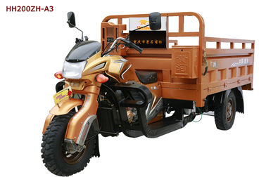 200CC 250cc Three Wheeler Electric Cargo Tricycle with Beautiful Heavy Fork