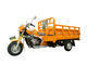 Shuiyinは貨物Trike 250cc 3の車輪のオートバイのガスかガソリン燃料にモーターを備えました